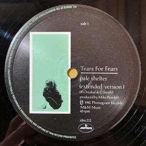【SALE】12H UK盤 ティアーズ・フォー・フィアーズ Tears For Fears / Pale Shelter (You Don't Give Me Love) idea212 LP レコードの画像2