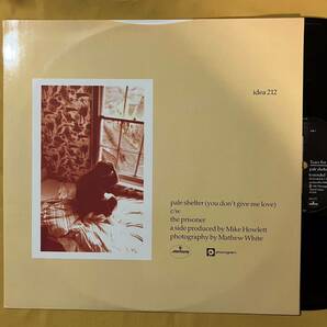 【SALE】12H UK盤 ティアーズ・フォー・フィアーズ Tears For Fears / Pale Shelter (You Don't Give Me Love) idea212 LP レコードの画像1