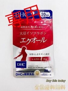 専用DHC エクオール 他