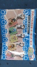 アクシア えとたま 干支魂 タケル家に勝手に居候 キーホルダー アクキー 5点 シマたん ドラたん キーたん イヌたん ウリたん _画像6