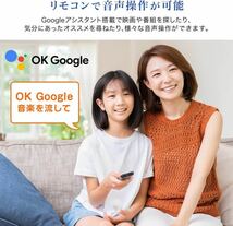 Googleテレビ 32インチ グーグルテレビ 32V 地上・BS・110度CSデジタル 外付けHDD録画機能 HDMI2系統 Youtube Netflix AmazonPrime_画像6