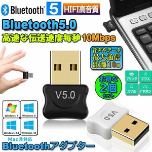 即納 2台セットbluetooth 5.0 USBアダプタ レシーバー ドングル 受信機 PC用 Ver5.0 Bluetooth USB アダプタ ブラック/ホワイト各1台づつ