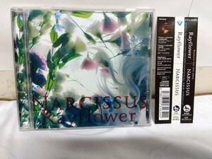 Rayflower Narcissus ヴィジュアル系 レイフラワー SOPHIA L'Arc〜en〜Ciel BULL ZEICHEN 88 Λucifer Waive V系 即決 送料無料
