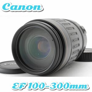 美品★キャノン EF 100-300mm USM★超・望遠レンズ！