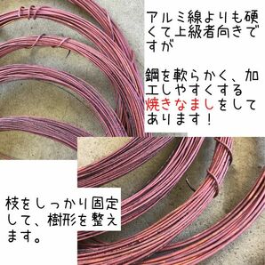 盆栽 銅線 なまし銅線 焼きなまし １kg １６番線 盆栽道具 針金 ハリガネ 盆栽用針金の画像2