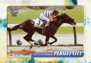 GWsale! (A37-2) 競馬 ペルセウスシチー 新潟競馬場 競走馬 クオカード500 (QUO)