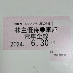 最新 相鉄 電車全線 株主優待乗車証 定期券型 簡易書留送料無料