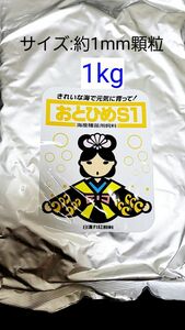 おとひめS1 サイズ約1mm 1kg 日清丸紅飼料 めだか グッピー らんちゅう稚魚