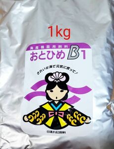 おとひめB1 1kg 日清丸紅飼料 めだか グッピー らんちゅう稚魚