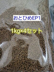 日清丸紅 沈下性 おとひめEP1 4kg 約1mm アクアリウム 金魚 熱帯魚 らんちう