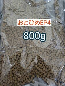 日清丸紅 沈下性 おとひめEP4 800g 約4mm アクアリウム 金魚 熱帯魚 らんちう