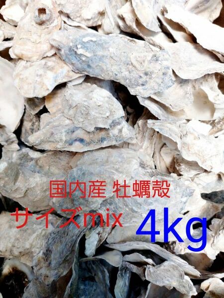 国内産 牡蠣殻 サイズMIX 4kg アクアリウム 錦鯉 金魚 メダカ 貝 ザリガニ