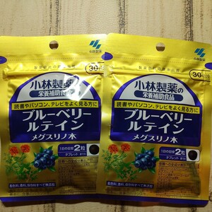 小林製薬 栄養補助食品 ブルーベリー ルテイン メグスリノ木 約30日分 60粒　2袋