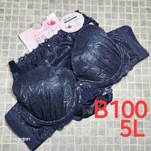 ●AB-269　新品　B100　5L　ブラジャー＆ショーツセット　豪華　ラグジュアリー　女装さんにも♪