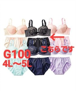 ●AB-247　新品　G100　4L～5L　ブラジャー＆ショーツセット　ブラック　シンプル　女装さんにも♪