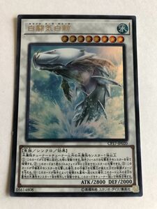 遊戯王　水　白闘気白鯨　ウルトラ　傷あり