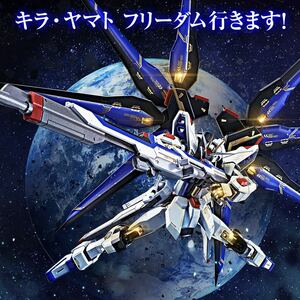 新品未開封品 プレミアムバンダイ限定 METAL ROBOT魂 SIDE MS ストライクフリーダムガンダム 20th Anniversary Ver. メタルロボット魂