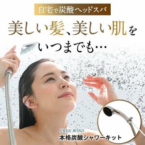 高濃度炭酸シャワー　炭酸ナノバブル発生器　高濃度炭酸泉　ミストシャワーヘッド　ラムネ風呂　　炭酸水 ミドボン　ミラブル　送料無料