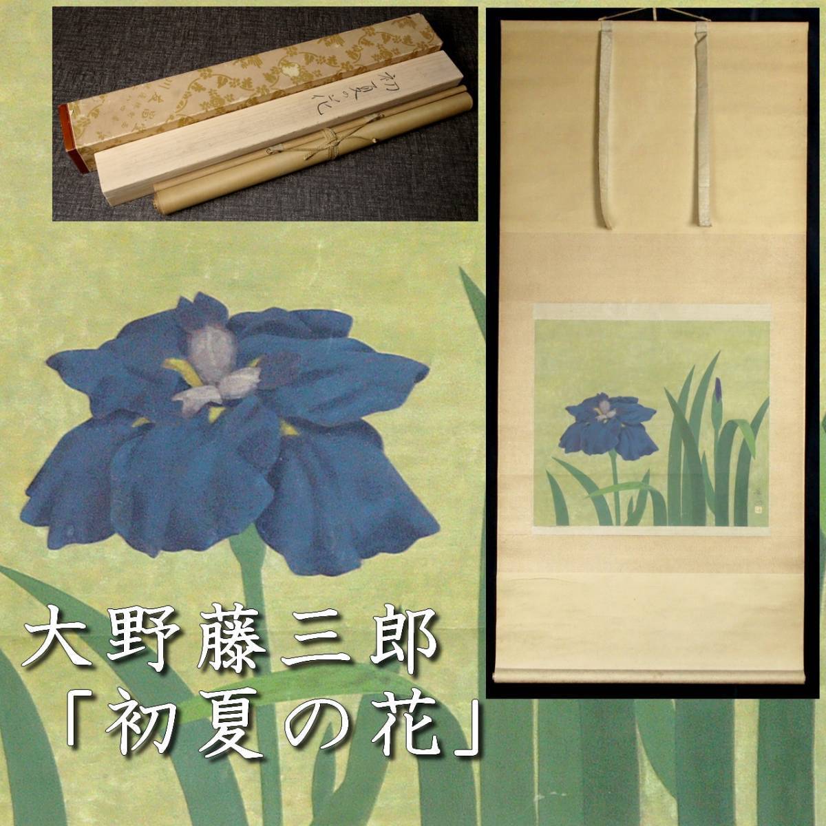 *3◆ ◆ Guaranteed genuine work Fujisaburo Ohno Early Summer Flowers Hand-painted Japanese painting on paper Double box T[B87]T/23.3 turns/HB/(140), Painting, Japanese painting, Flowers and Birds, Wildlife