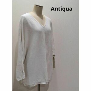 antiqua