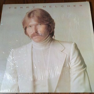 LP Terry Melcher produced by Terry Melcher&Bruce Johnston US Reprise MS 2185 1974年発売　シュリンク付　美品