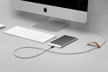 NATIVE UNION [ネイティブユニオン] ベルトケーブル USB-C to USB-A 1.2m 急速充電ケーブル レザーストラップ付き _画像7