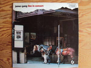 ジェイムス・ギャング／ライヴ・イン・コンサート　国内盤レコード