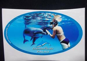 ダイビングステッカー★イルカ★Dolphins Pacific（ドルフィンズ・パシフィック）★PALAU（パラオ）★15cm★