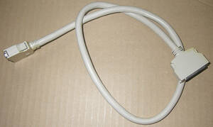 *SCSI-2 cable 80cm*LL