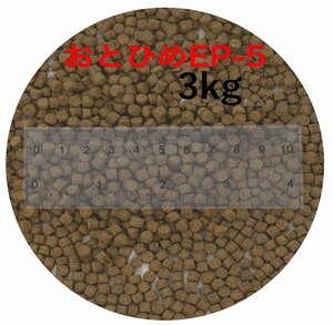  день Kiyoshi круг .. стоимость ....EP5( примерно 4.3mm~ примерно 5.1mm) 3kg(500g×6 пакет )...(. внизу .) золотая рыбка аравановые мясо еда рыба .