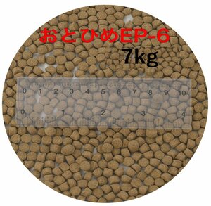 日清丸紅飼料 おとひめEP6(約5.4mm～約6.4mm) 7kg(500g×14袋) 沈降性(沈下性) 金魚 アロワナ 肉食魚に