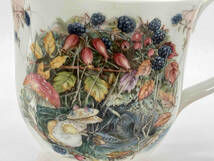 Royal Doulton ロイヤル ドルトン AUTUMN BEAKER BRAMBLY HEDGE マグカップ_画像5