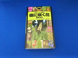 樹に咲く花 離弁花(2) 茂木透