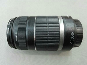 Canon EFS55-250mm4-5.6 IS EF-S 55-250mm 1:4-5.6 IS 2044B001 交換レンズ