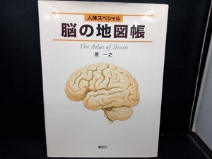 脳の地図帳 （人体スペシャル） 原一之／著