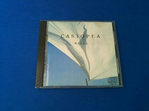 CASIOPEA ハレ