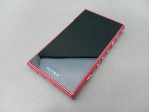 SONY ウォークマン NW-A107(64GB) WALKMAN (12-09-01)