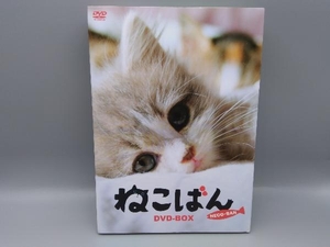 DVD 連続テレビドラマ ねこばん DVD-BOX「ねこ派」の為の癒しプログラム。~見ると福がくる~