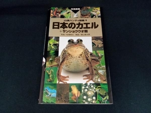 日本のカエル　＋サンショウウオ類 （山渓ハンディ図鑑　９） 奥山風太郎／解説　松橋利光／写真