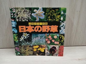 【単行本】日本の野草 林弥栄