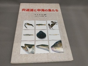 初版 宍道湖と中海の魚たち 中村幹雄:監修