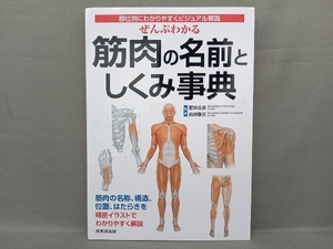 ぜんぶわかる筋肉の名前としくみ事典 肥田岳彦