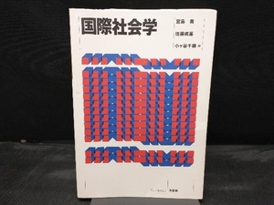 【カバー傷みあり】 国際社会学 宮島喬