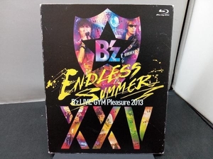 B'z LIVE-GYM Pleasure 2013 ENDLESS SUMMER-XXV BEST-(完全版)(Blu-ray Disc)