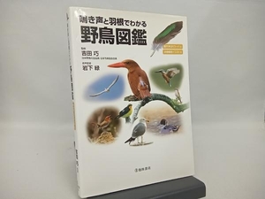 鳴き声と羽根でわかる野鳥図鑑 吉田巧