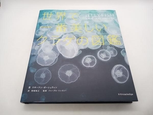  world . most beautiful jellyfish. illustrated reference book Lisa * Anne *ga-shu wing eks knowledge store receipt possible 