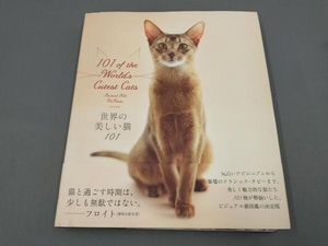 世界の美しい猫101