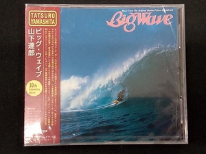 山下達郎 CD BIG WAVE(30th Anniversary Edition)