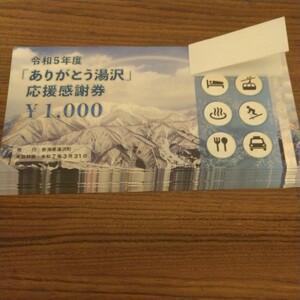 ■「ありがとう湯沢」応援感謝券 30,000円分(1,000円×30枚) ■有効期限：令和7年(2025年)3月31日