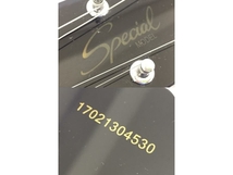 Epiphone エピフォン Express Special MODEL ミニ ギター 楽器 中古 G8301397_画像8